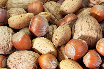 Image showing Nuts