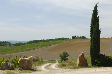 Image showing Tuscan Hill