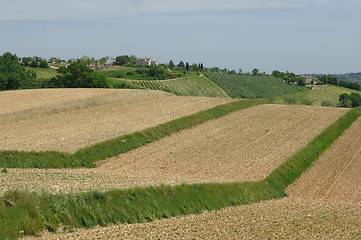 Image showing Tuscan Landscape