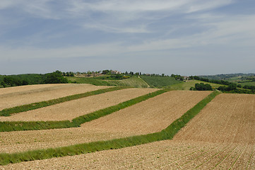 Image showing Tuscan Field