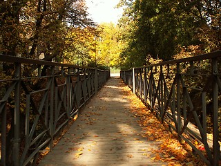 Image showing fall bridge
