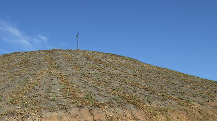 Image showing sugar cane plantation on the hill