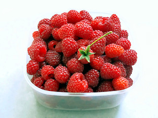 Image showing raspberries