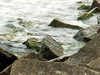 Image showing marine stones