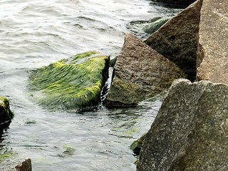 Image showing marine stones