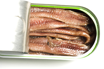 Image showing flat fillets of anchovies in can