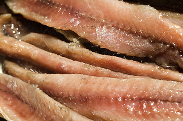 Image showing flat fillets of anchovies