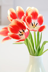 Image showing Tulips in vase