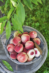 Image showing Peaches harvest