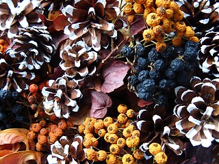 Image showing Christmas decoration - dried berry and cones