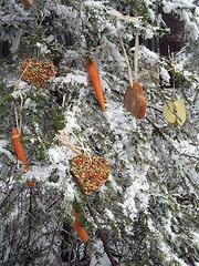 Image showing Christmas - feeding additionally to wild animals