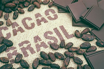 Image showing Cacao beans and hessian