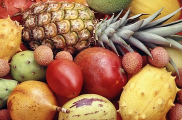 Image showing Tropical fruits and vegetables