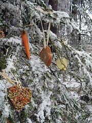 Image showing Christmas - feeding additionally to wild animals