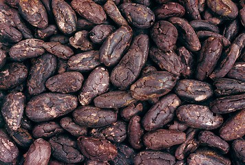 Image showing Cocoa beans - background