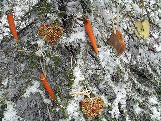 Image showing Christmas - feeding additionally to wild animals