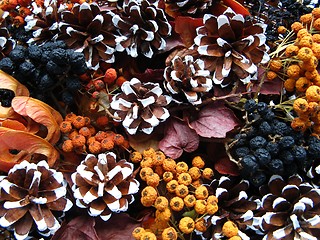 Image showing Christmas decoration - dried berry and cones