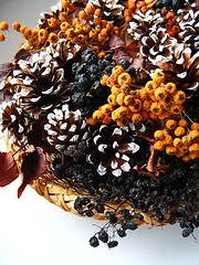 Image showing Christmas decoration - dried berry and cones