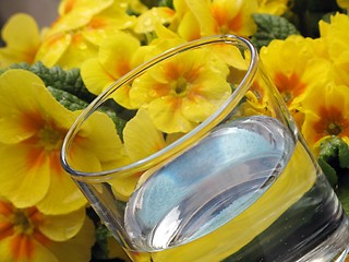 Image showing Glass of water and primrose - detail