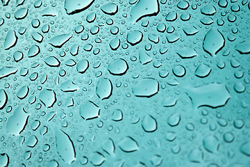 Image showing Water Droplets