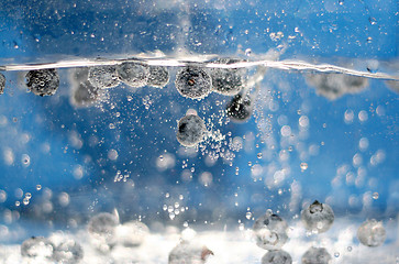 Image showing Blueberries In Water