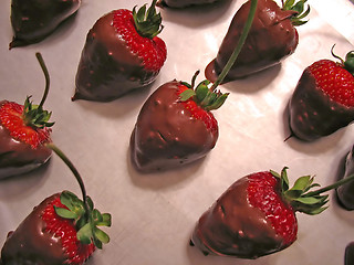 Image showing Chocolate Covered Strawberries