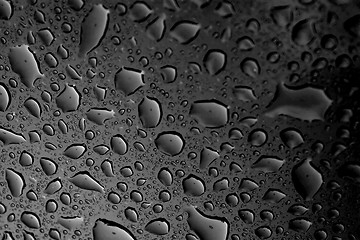 Image showing Black Water Droplets