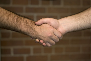 Image showing Firm Handshake