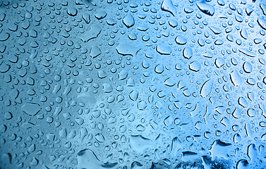 Image showing Water Droplets