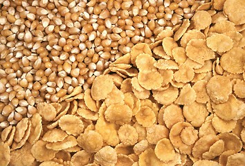 Image showing corn seeds and corn-flakes
