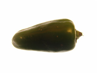 Image showing Green Chilli