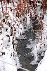 Image showing Winter stream