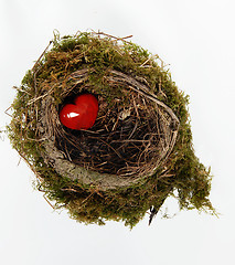 Image showing Red heart in nest