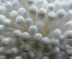 Image showing Cotton buds macro