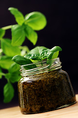 Image showing pesto