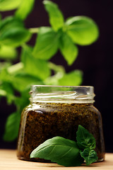 Image showing pesto