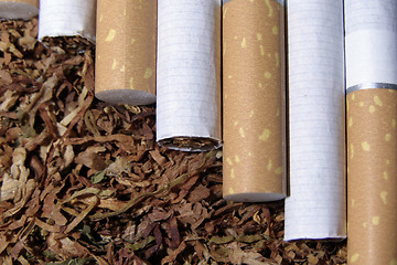 Image showing tobacco and cigarete