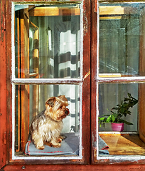 Image showing Windows 