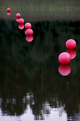 Image showing pink buoys