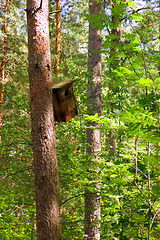 Image showing birdhouse