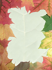 Image showing autumn frame