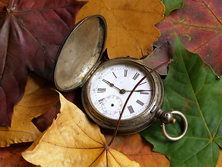 Image showing autumn time