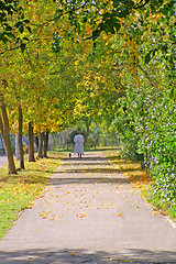 Image showing autumn alley