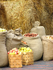 Image showing harvest