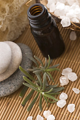 Image showing aromatherapy