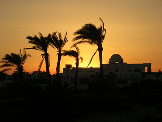 Image showing Sunset in Africa