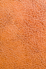 Image showing Leather Texture