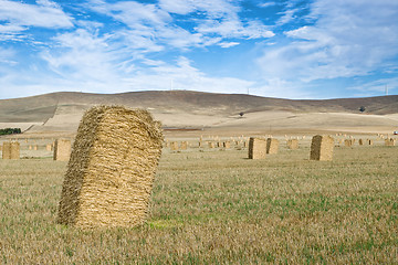 Image showing farm landscape