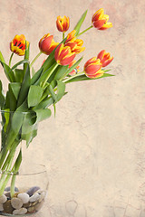 Image showing Tulips