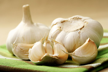 Image showing garlic